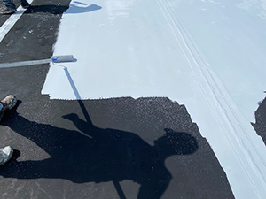 Commercial Roof Coating - Springfield, OH 2