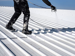 Metal Roof Restoration Xenia, OH 1