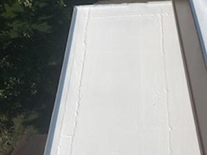 Close-up of a white sloped roof with seams and gray trim, trees visible to the left in the background.